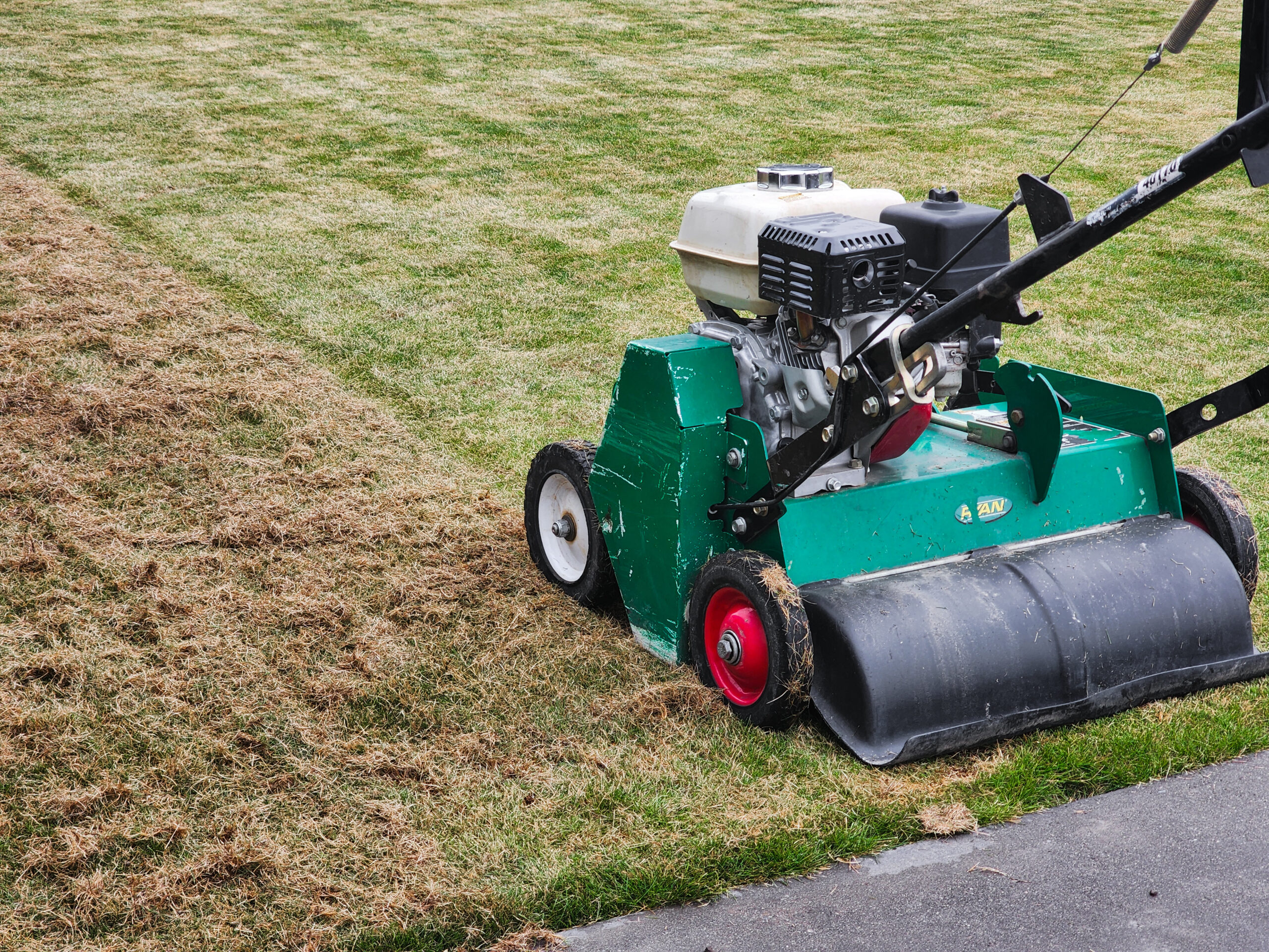 Dethatcher Scarifier Hire