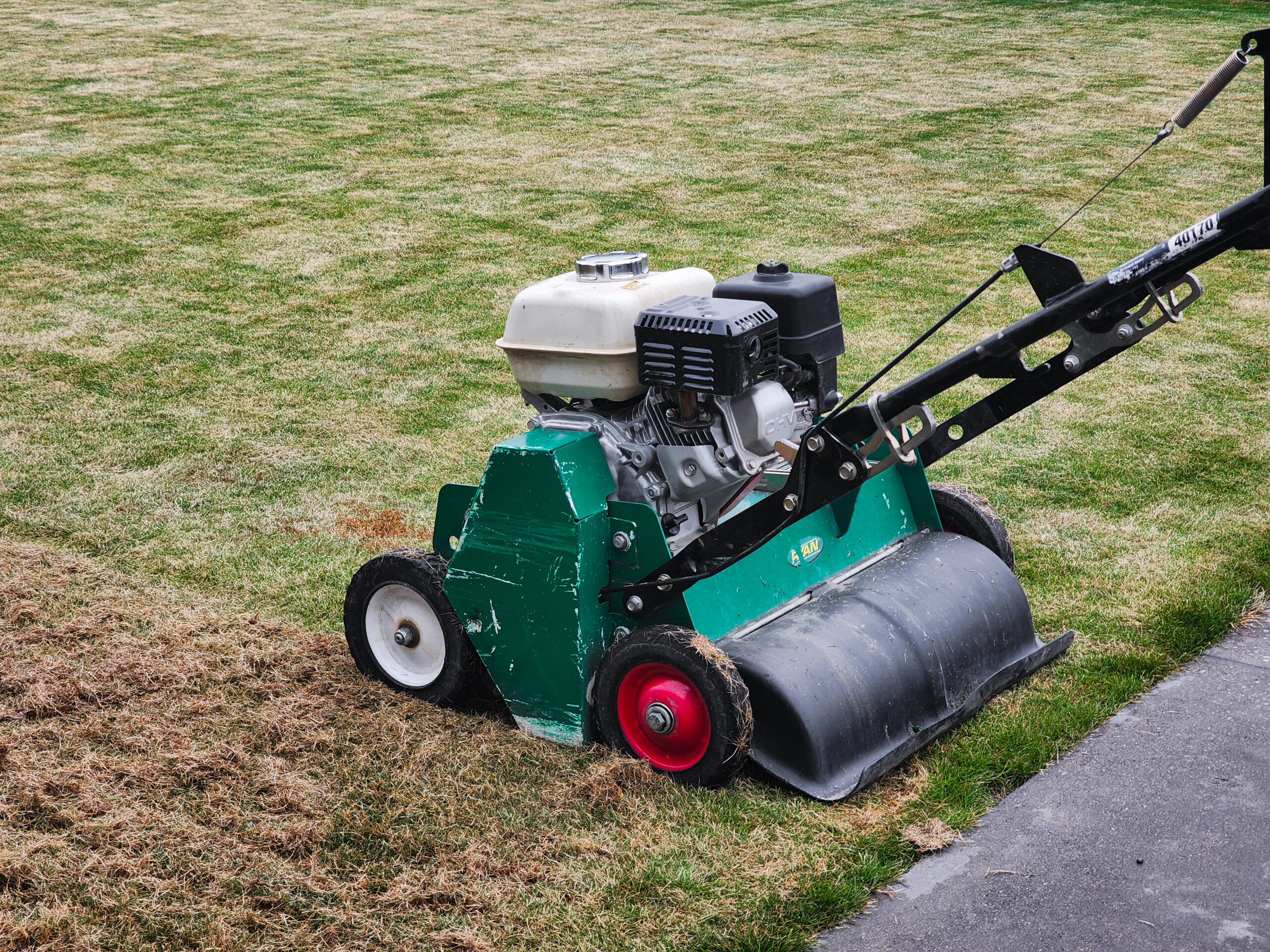 Dethatcher Scarifier Hire