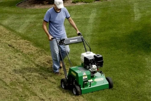 Lawn Scarifiers / Dethatchers